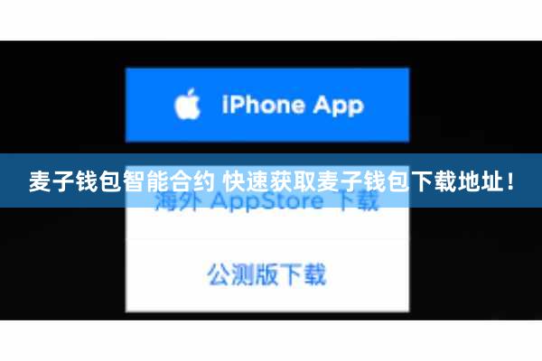 麦子钱包智能合约 快速获取麦子钱包下载地址！