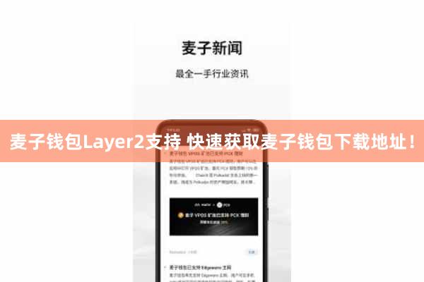 麦子钱包Layer2支持 快速获取麦子钱包下载地址！