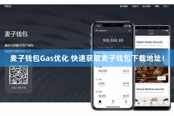 麦子钱包Gas优化 快速获取麦子钱包下载地址！