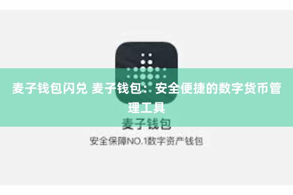 麦子钱包闪兑 麦子钱包：安全便捷的数字货币管理工具