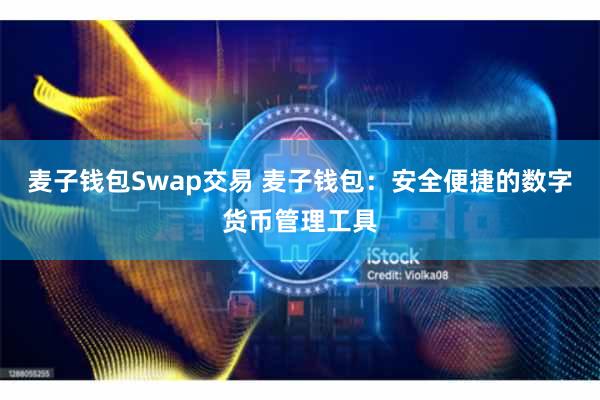 麦子钱包Swap交易 麦子钱包：安全便捷的数字货币管理工具