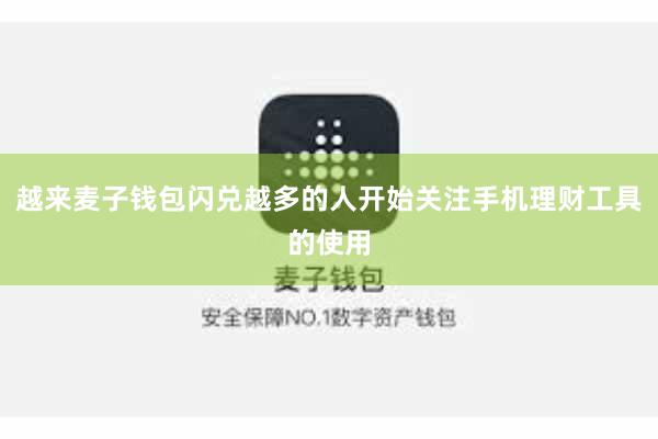 越来麦子钱包闪兑越多的人开始关注手机理财工具的使用