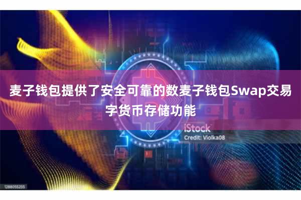 麦子钱包提供了安全可靠的数麦子钱包Swap交易字货币存储功能