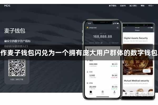 作麦子钱包闪兑为一个拥有庞大用户群体的数字钱包