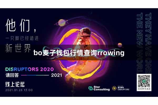 bo麦子钱包行情查询rrowing