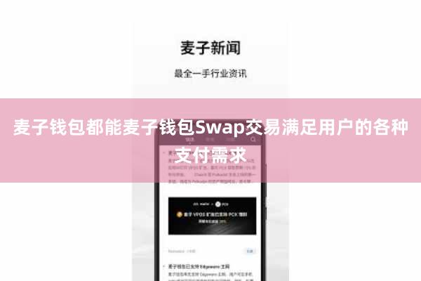 麦子钱包都能麦子钱包Swap交易满足用户的各种支付需求