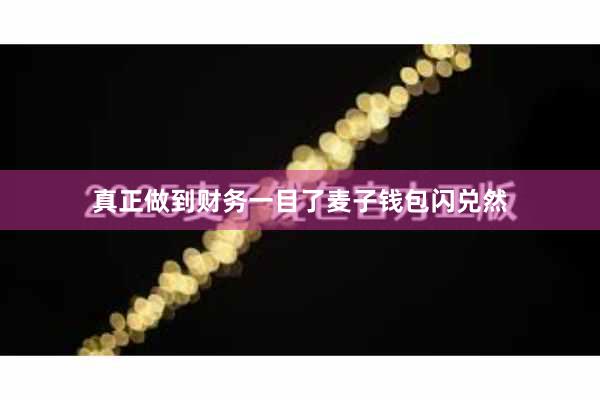 真正做到财务一目了麦子钱包闪兑然