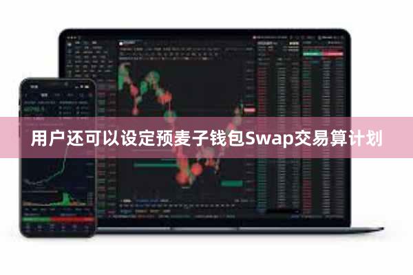 用户还可以设定预麦子钱包Swap交易算计划