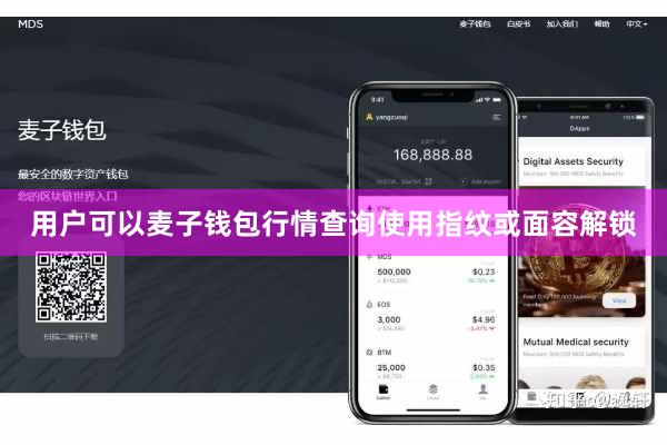 用户可以麦子钱包行情查询使用指纹或面容解锁