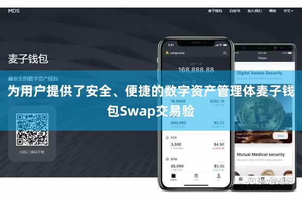 为用户提供了安全、便捷的数字资产管理体麦子钱包Swap交易验