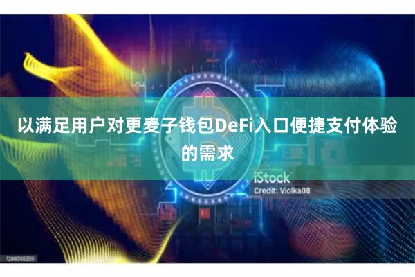 以满足用户对更麦子钱包DeFi入口便捷支付体验的需求