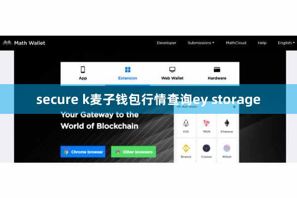 secure k麦子钱包行情查询ey storage