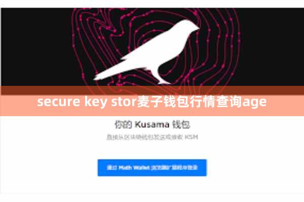 secure key stor麦子钱包行情查询age
