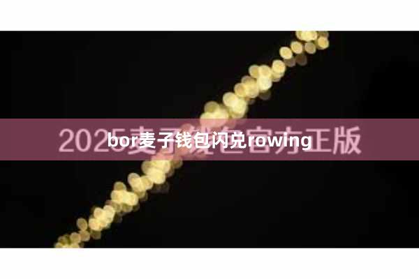 bor麦子钱包闪兑rowing