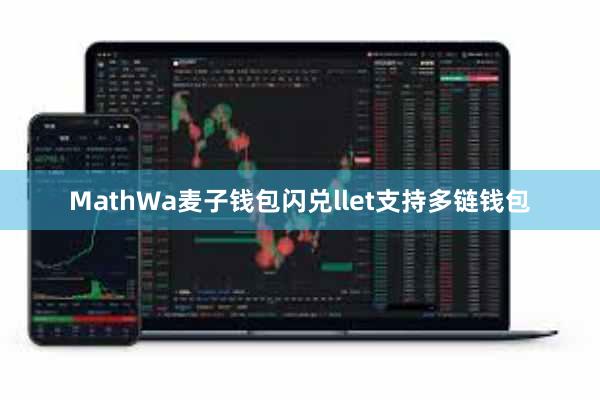 MathWa麦子钱包闪兑llet支持多链钱包