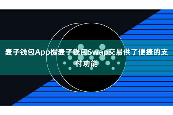 麦子钱包App提麦子钱包Swap交易供了便捷的支付功能