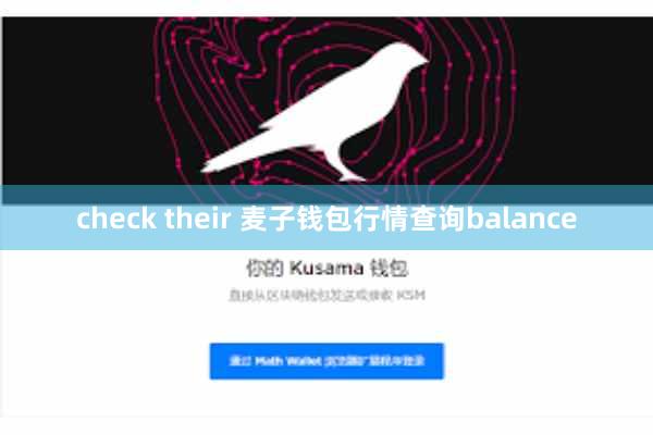 check their 麦子钱包行情查询balance