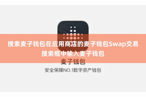 搜索麦子钱包在应用商店的麦子钱包Swap交易搜索框中输入麦子钱包