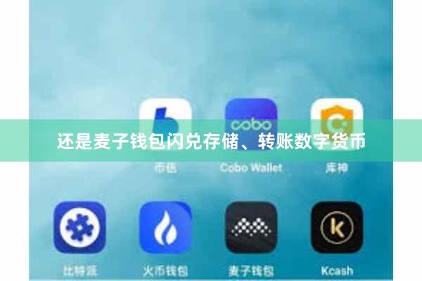 还是麦子钱包闪兑存储、转账数字货币