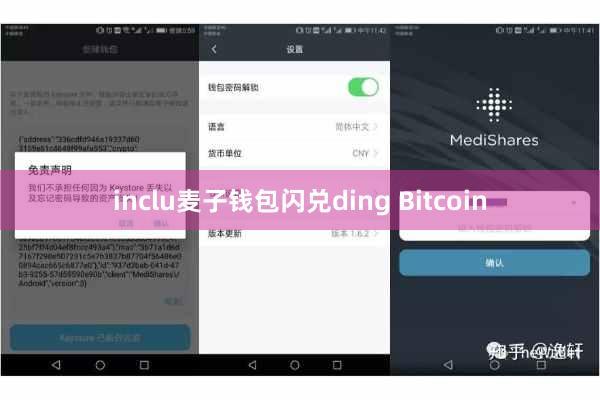 inclu麦子钱包闪兑ding Bitcoin