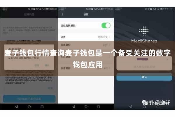 麦子钱包行情查询麦子钱包是一个备受关注的数字钱包应用