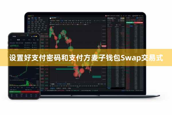 设置好支付密码和支付方麦子钱包Swap交易式