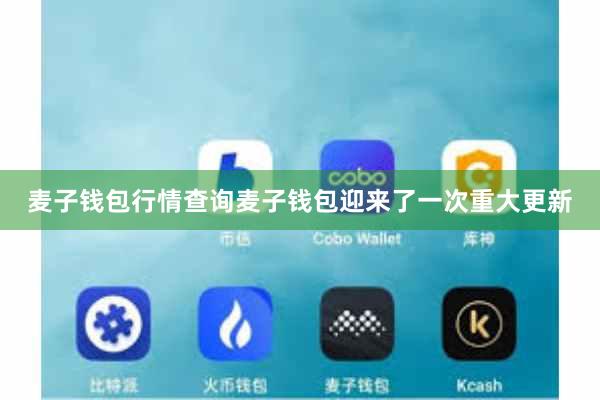 麦子钱包行情查询麦子钱包迎来了一次重大更新