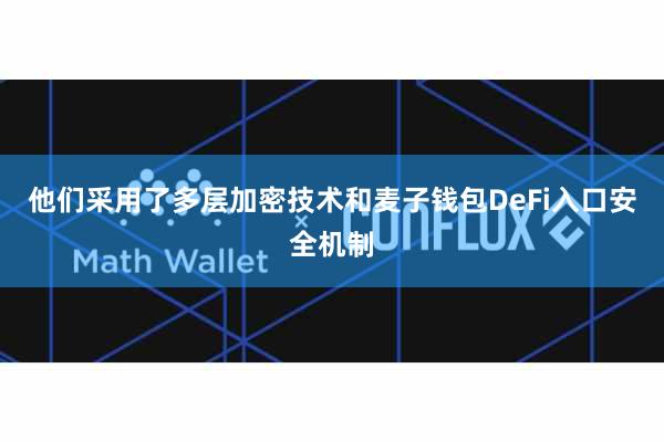 他们采用了多层加密技术和麦子钱包DeFi入口安全机制
